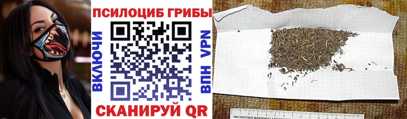 хочу наркоту  Костерёво  Псилоцибиновые грибы мухоморы 
